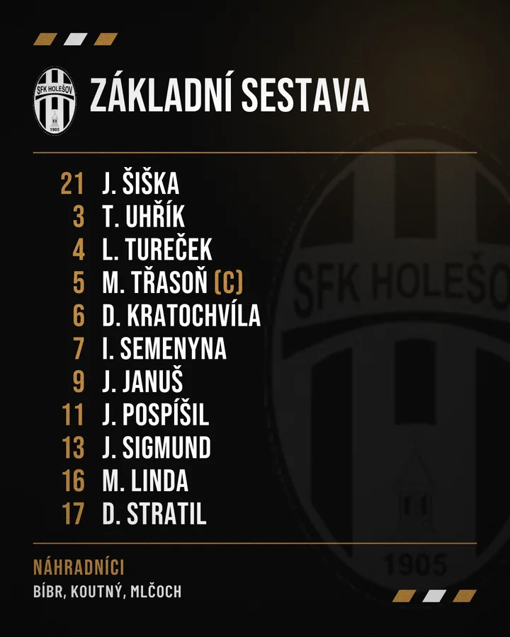 Sestava před zápasem